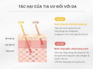 nám da mặt