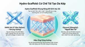 Vai trò của HA HMW 