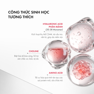 Công thức sinh học của Molecholin