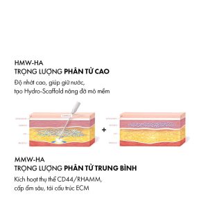 Phác Đồ Firming 4D: