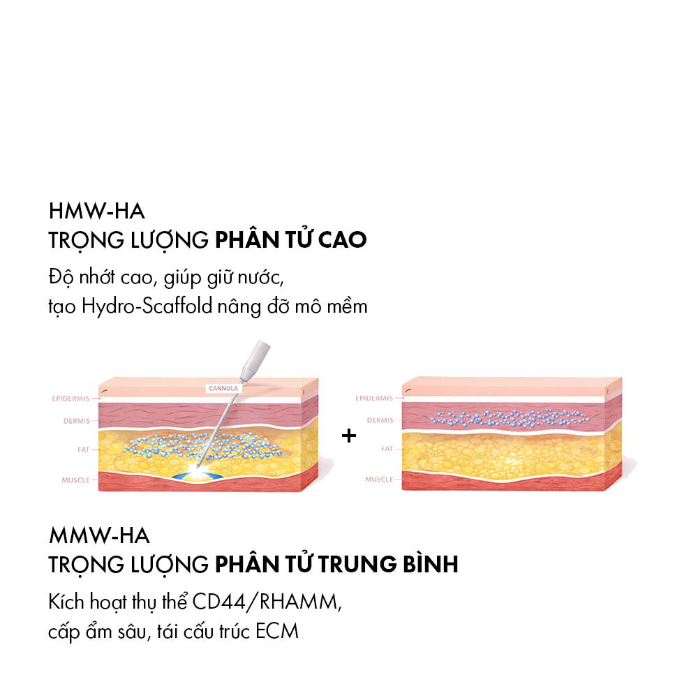 Phác Đồ Firming 4D: Cách Tiếp Cận Mới Trong Trẻ Hóa Nội Khoa Hiện Đại
