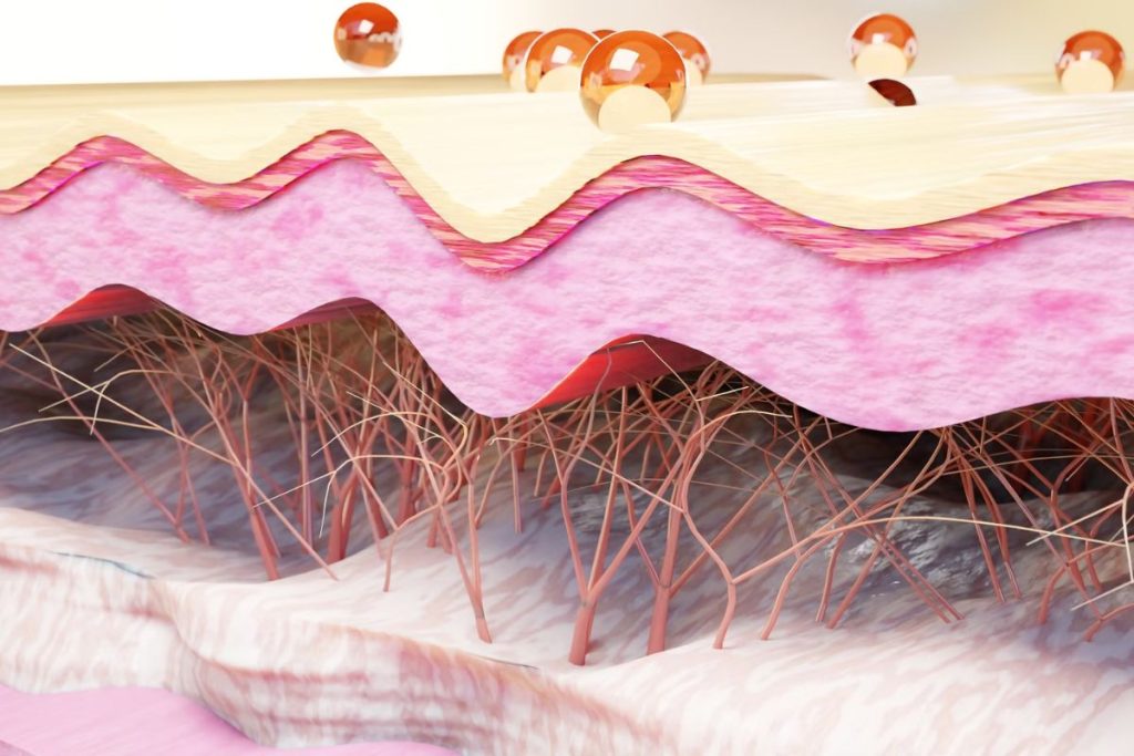 cách tăng sinh collagen và elastin cho da