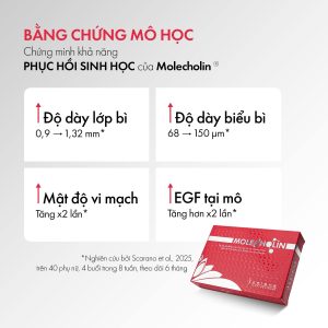 Tác dụng của Molecholin