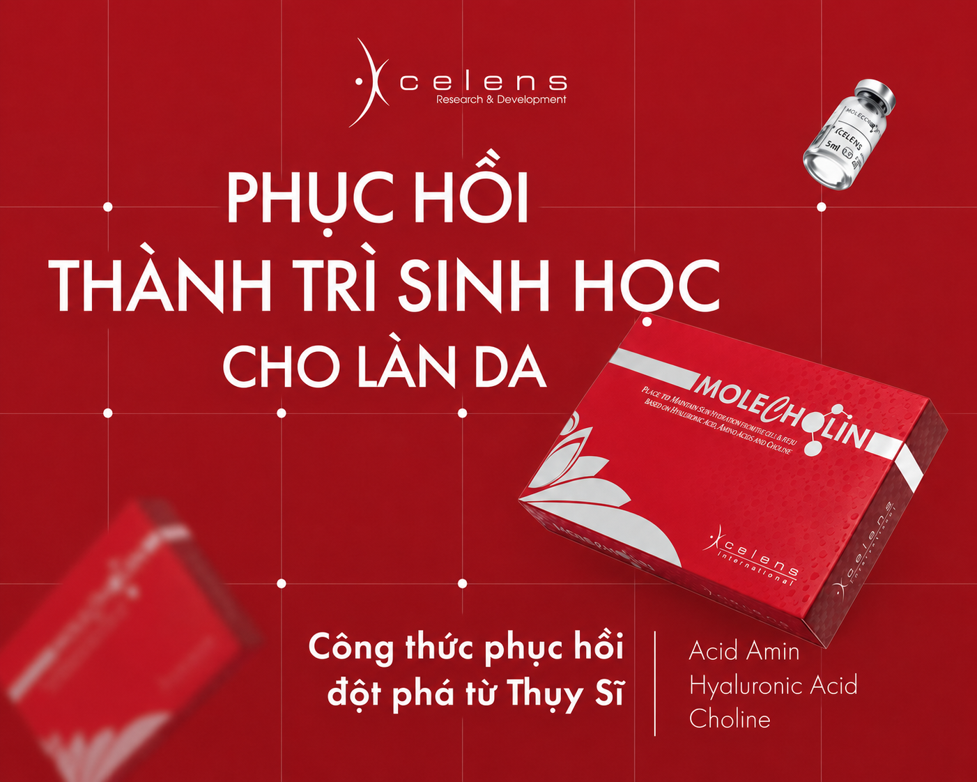 Da Mỏng Yếu: Vì Sao Cần Phục Hồi Sinh Học Đúng Cách?