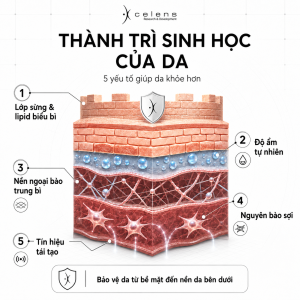 Thành trì sinh học của da 